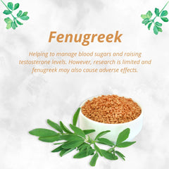 Gluco Health with Finest Fenugreek Extract (Methi) - 60 Tablets
