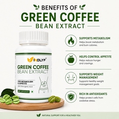 Green Tea Extract Supplement, 500 Mg - 60 Capsules