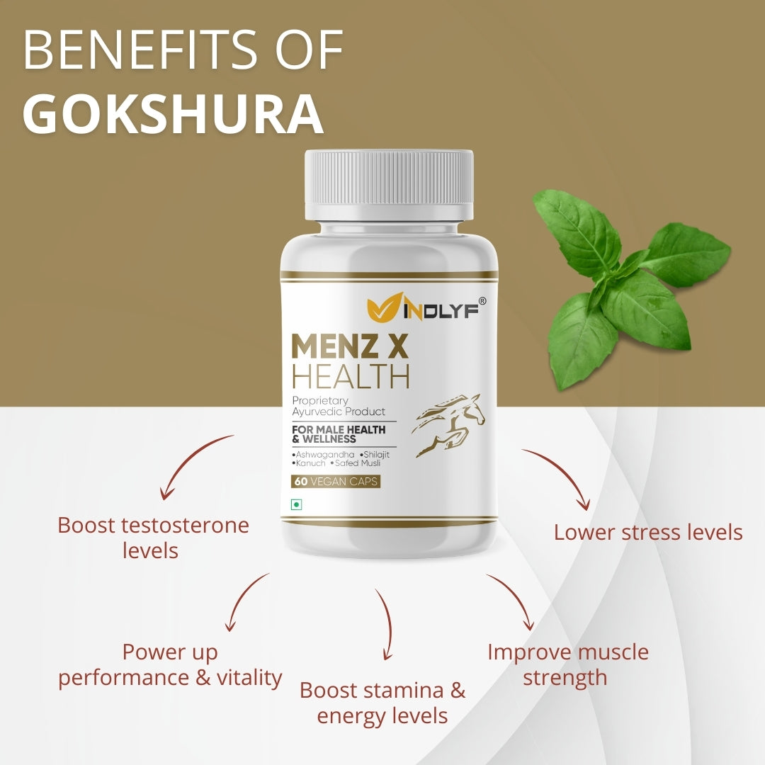 Menz-X Health with Shilajit, Ashwagandha & Safed Musli - 60 Tablets