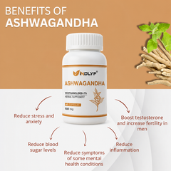 Natural Ashwagandha Supplement (60 Capsules)