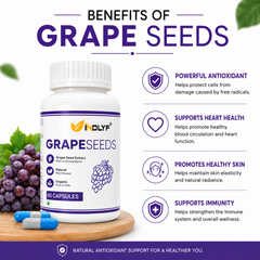 Grape Seed Extract (Proanthocyanidins > 95%) Antioxidant, 500 mg - 60 Capsules
