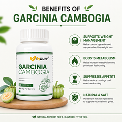 Garcinia Cambogia Extract, 60% Hca, 500mg Per Serving - 60 Capsules